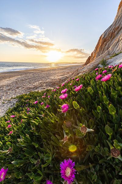 Sonnenuntergang am Sandstrand Praia da Falésia. Klippen Pinke Blumen bei Albufeira, Portugal von Fotos by Jan Wehnert