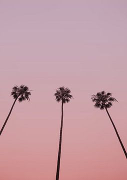 Trio de ciel rose sur Shot by Clint