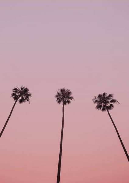 Trio de ciel rose par Shot by Clint
