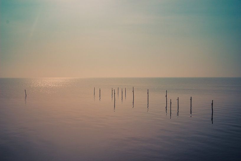 Posts in the water - IJsselmeer by Suzan van Pelt