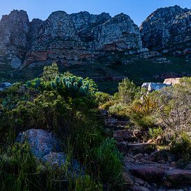 Tafelberg trail van Jorick van Gorp
