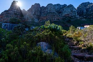 Tafelberg trail van Jorick van Gorp