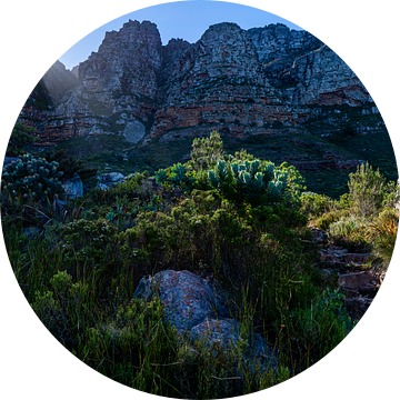 Tafelberg trail van Jorick van Gorp