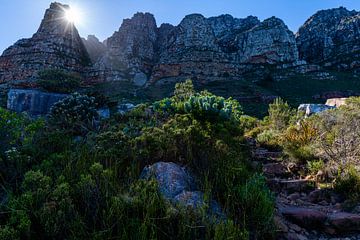 Table Mountain trail by Jorick van Gorp