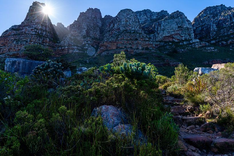 Tafelberg trail van Jorick van Gorp