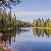 Rivière en Laponie finlandaise en été sur Bianca Kramer