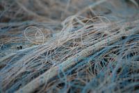 The old fishing wires from the harbor