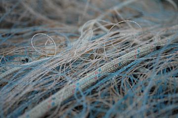 The old fishing wires from the harbor van kai van lierop