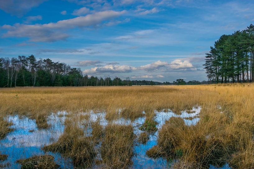 Mooi zicht over de Leersumsche Veld met fantastische lucht van Patrick Verhoef