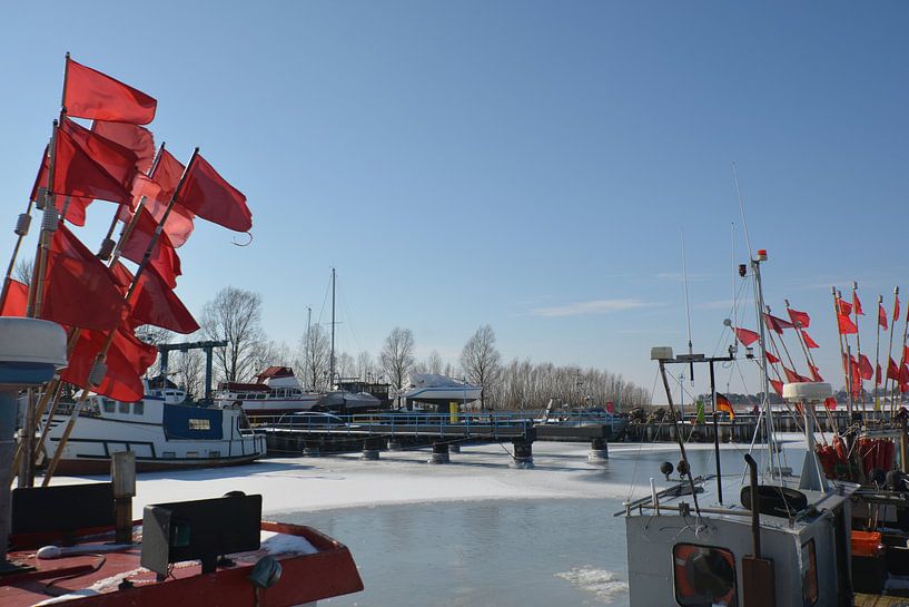 rote Fahnen auf dem Fischerboot, Hafen Thiessow von GH Foto & Artdesign