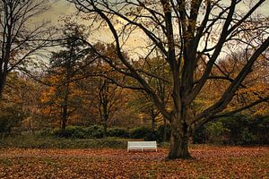 Profiter de l'automne