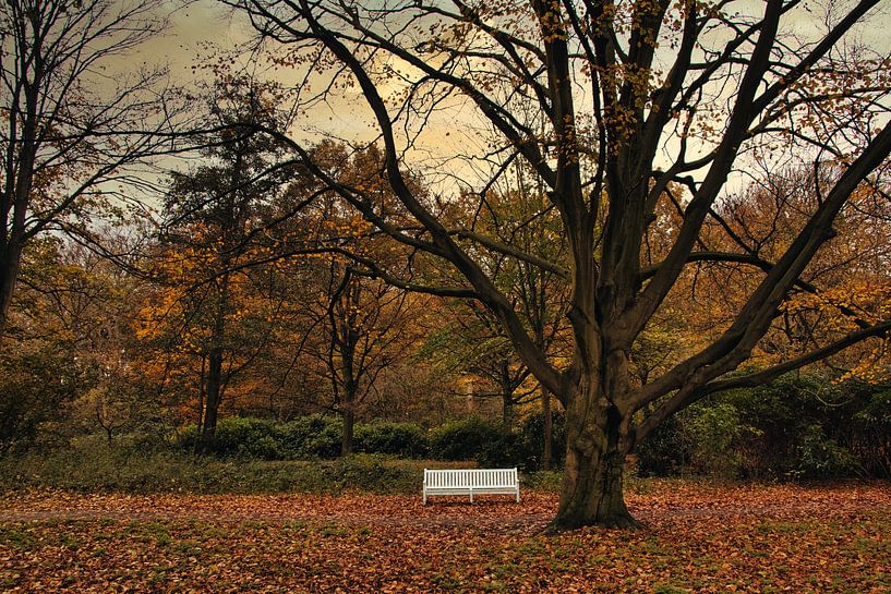 Den Herbst genießen von Stefan Verheij