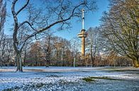 Winter in het Park bij de Euromast van Frans Blok thumbnail