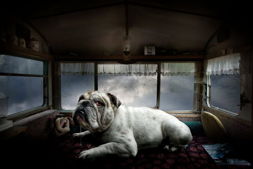 Lost Camping van Juliën van de Hoef