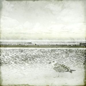 Sehnsucht nach der Küste. Graue Basis.