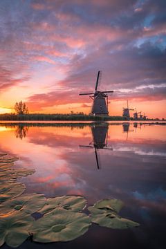 Kleurrijk Kinderdijk van mytruecolours