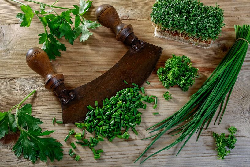 old cradle knife with leek by Jürgen Wiesler