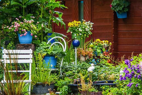 bosbloemenveld landschap Erzgebirge paddestoelen