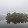 Weerspiegeling in een mistig landschap van Danielle Bosschaart