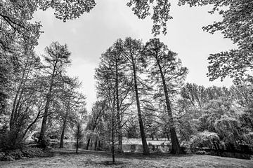 Vondelpark in black and white by Thomas van der Willik