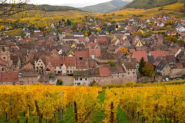 Half-timbered village of Riquewihr in Alsace by Tanja Voigt