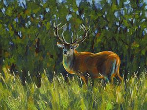 Deer in a clearing by Karen Kaspar