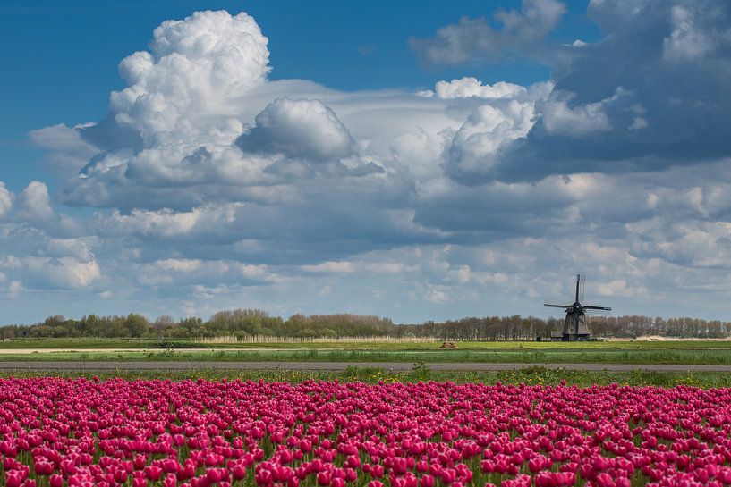 Beautiful Dutch landscape by Peter Leenen