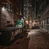 Chicago alley by Photo Wall Decoration