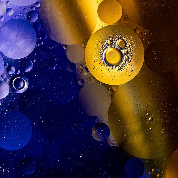 Sunny by Jarno van Osch