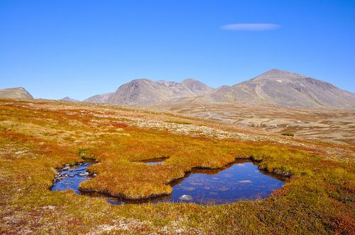 Rondane Nationaal Park