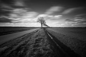 Weiland langs een landelijke weg sur Elroy Spelbos Fotografie