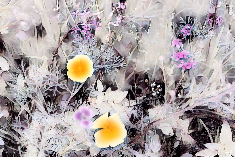 Aquarelle de champ de fleurs par Patricia Piotrak