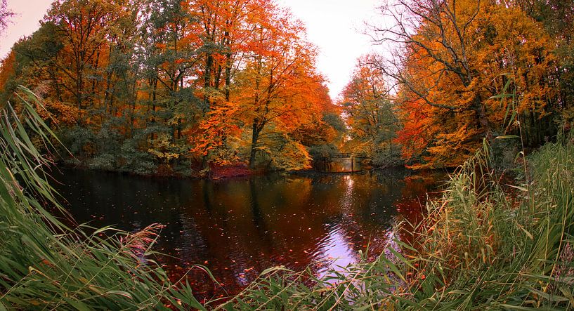 Banging Autumn Colours by peterheinspictures