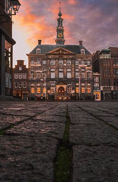 Stadhuis ‘s-Hertogenbosch van Frederike Heuvel