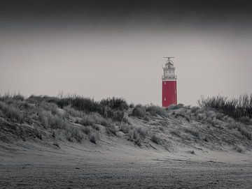 Texel vuurtoren in zwart-wit met kleuraccent van Captured Created by Cathleen