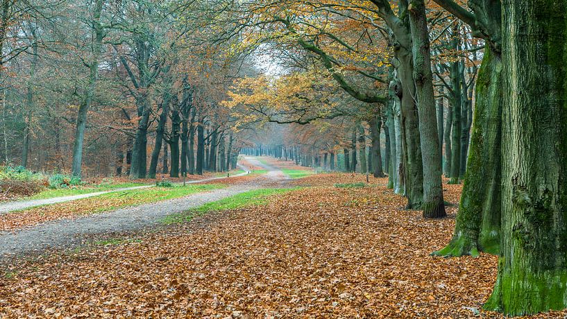 Den Treek, Henschoten by Karel Warburg