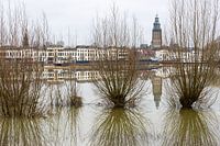 Zutphen by the sea