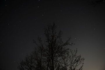 Nachtfoto van Armin Wolf
