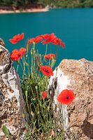 Lac de Saint Croix in the Provence VAR France