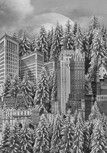 Winters in America