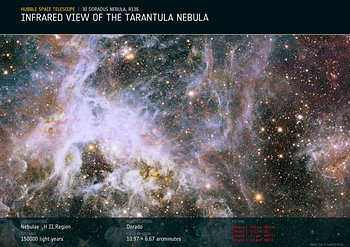 The Tarantula in Infrared