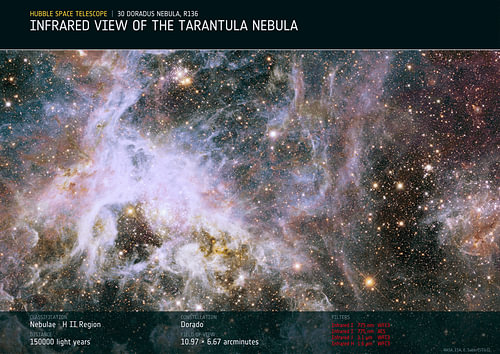 The Tarantula in Infrared