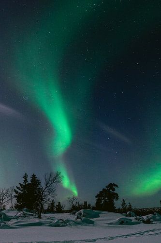 Northern Lights | Bright night in Finnish Lapland