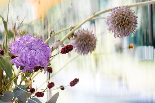 Aus der Serie "Distinguished" 2017-03