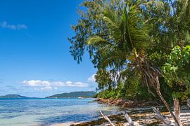 Die idyllische Anse La Blague