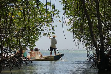 Rondvaart door mangrovebos in Indonesie by Marilyn Bakker