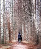 Walking in the woods
