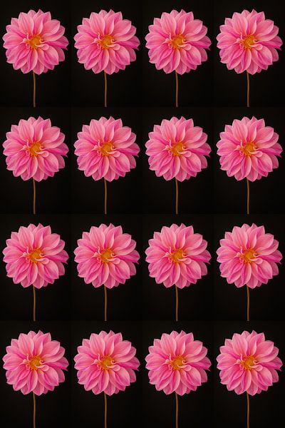 Dahlia&#039;s pink duplicated 4 by 4 by Henriette Tischler van Sleen