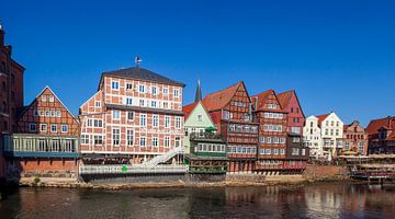 Façades de maisons historiques Am Stintmarkt, rivière Ilmenau, vieille ville, Lüneburg, Basse-Saxe, 