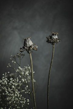 Dried flowers by Melanie Schat